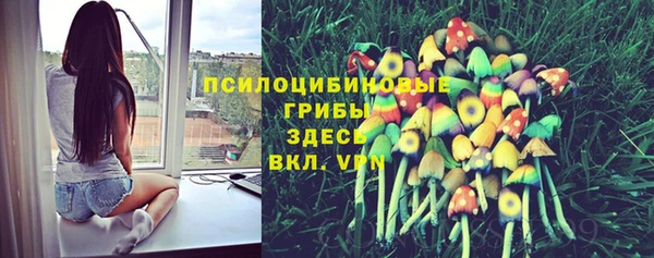 не бодяженный Зеленодольск