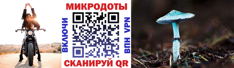 Купить закладки  Лагань  Псилоцибиновые грибы мицелий 