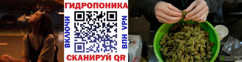 Бошки Шишки Ganja  Купить закладки  Лагань 